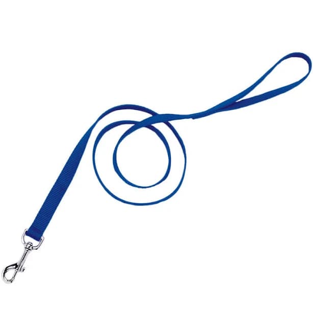 Coastal Single-Ply Dog Leash