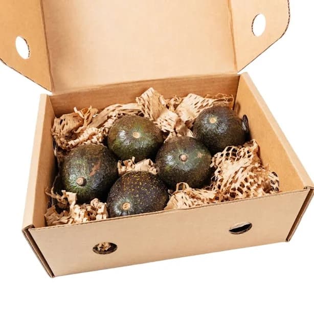 Index Fresh Large Hass Avocados