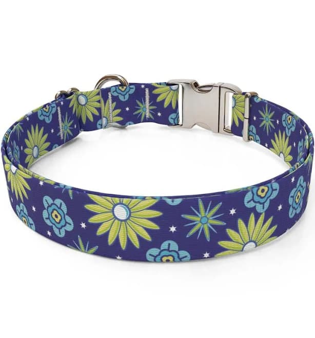 Teal Flowers Dog Collar Martingale Collar