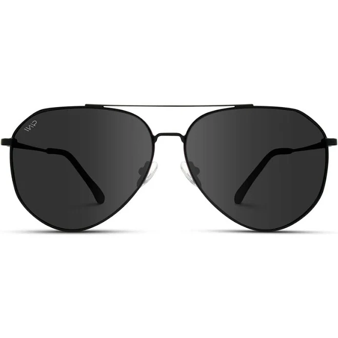 Ramsey Polarized Aviator Sunglasses