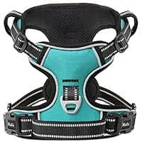 HEELE Dog Harness, Reflective Dog Harness, with Padded Handle Control, 2 Metal Rings, Harness for Small Medium and Large Dogs, Turquoise, S : Amazon.com.be: Pet Supplies
