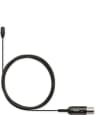 Video frame trigger