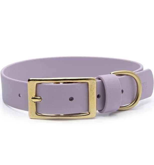Waterproof Buckle Dog Collar BioThane Vivid Canine