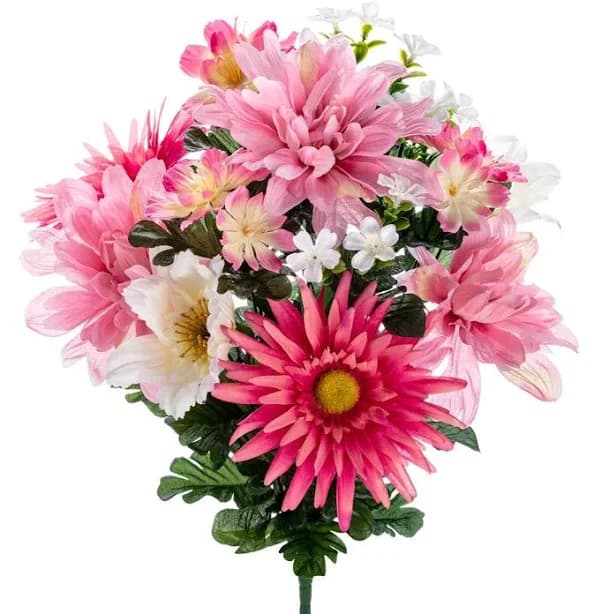 Gerbera Grave Bush