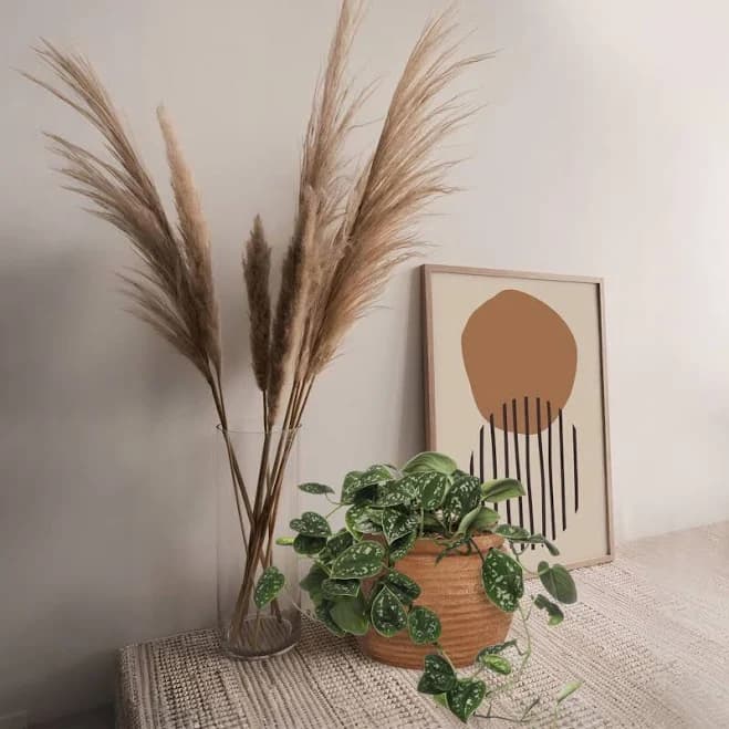 Ashland 8" Terra Cotta Ribbed Ceramic Pot
