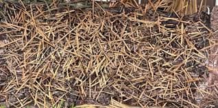 3D Synthetic Coverall Ghillie Blanket - Extra Large – BlindGrass