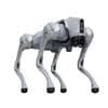 Unitree Go2 X Robotic Dog - RobotShop