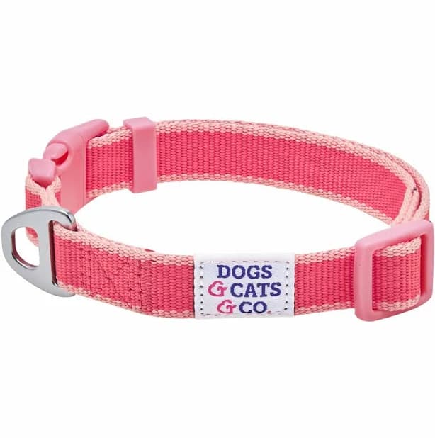 Dogs & Cats & Co. Contrast Striped Dog Collar