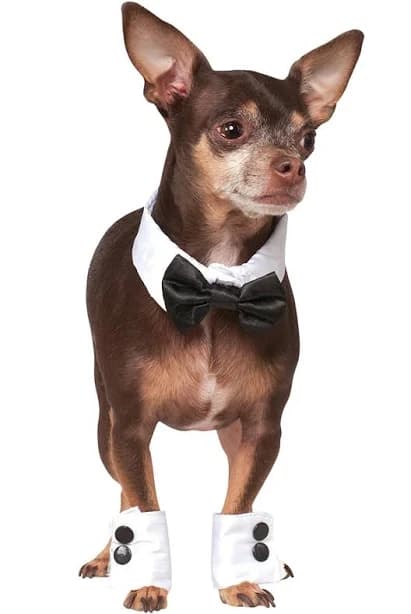 Tuxedo Bowtie & Cuff Pet Set