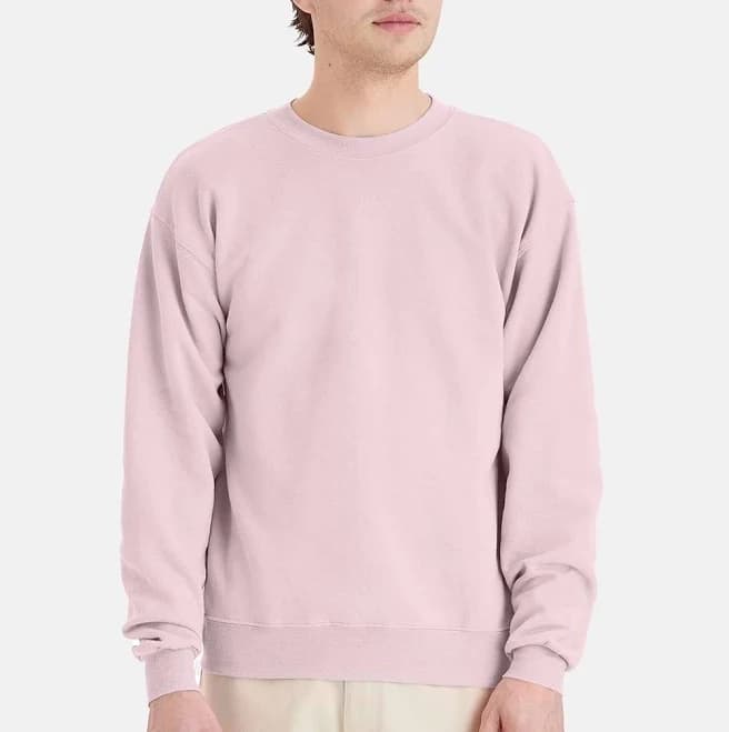 Ecosmart Crewneck Sweatshirt Hanes
