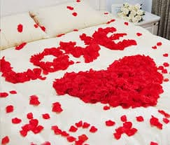 Amazon.com: Ewanda store 2000 PCS Silk Rose Petals Artificial Flower Wedding Party Flower Decoration Bridal Shower Favor Centerpieces Confetti(Dark Red Black) : Home & Kitchen
