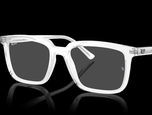 Ray-Ban RX7239 Alain