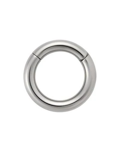 Spencer's Silver Titanium Hinged Septum Ring
