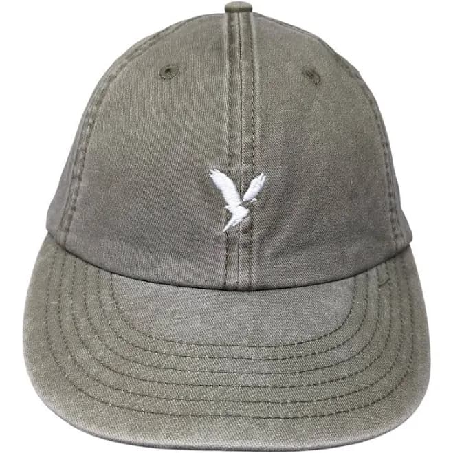 American Eagle Outfitters Slideback Baseball Cap Green One Size