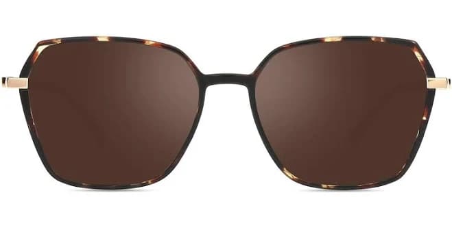 Women Geometric Oversized Rx Sunglasses
