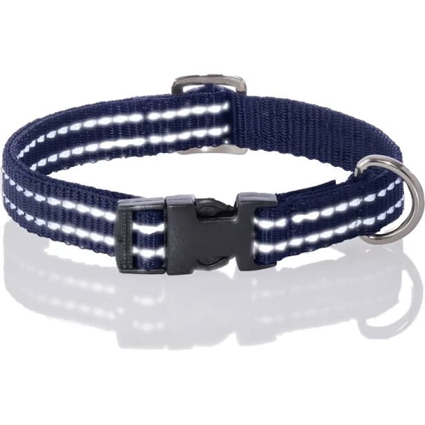 Pet Passion Max Hardy Reflective Dog Collar