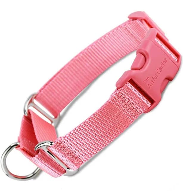 Martingale Collar with Buckle