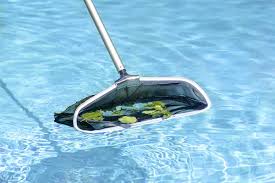 Poolmaster Premier Swimming Pool Leaf Rake - Commercial Collection - Walmart.com
