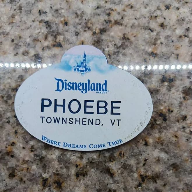 Disney Cast Member Name Tag Walt Disneyland Resort Employee Badge