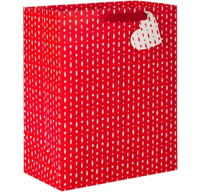 Hallmark Large Valentine's Day Gift Bag (Red and White Patterned), Multicolor