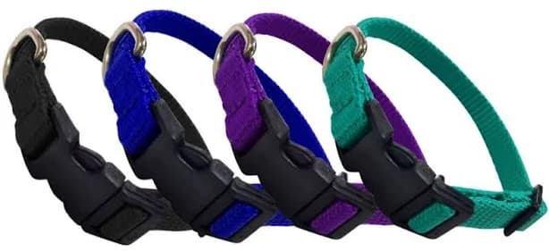 Nylon Dog Collar with Snap Buckle Large / Teal