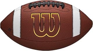 GST SpeedSkin Footballs - Brown