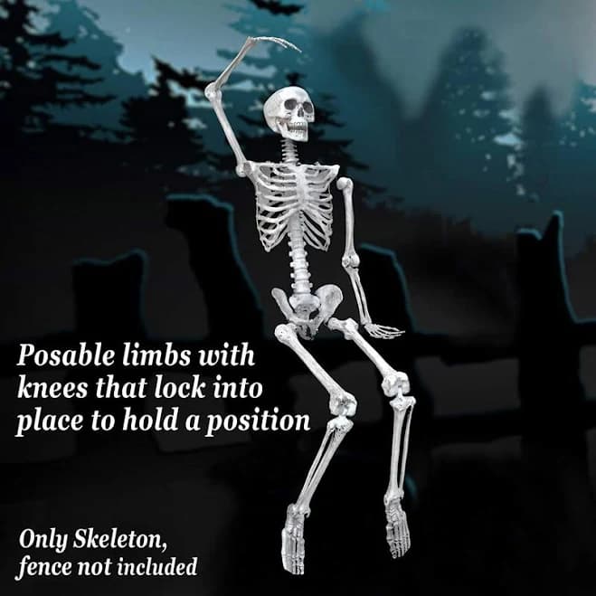 Sunnyoutdoor 5.6 FT Pose-N-Stay Life Size Skeleton Poseable Full Body Life-Like Bones for Indoor Outdoor Halloween Decoration