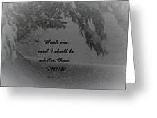 Wash Me And I Shall Be Whiter Than Snow Women's T-Shirt by Cathy Lindsey - Cathy Lindsey Official Website
