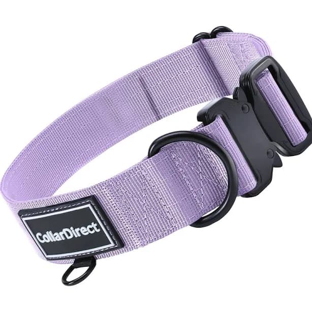 CollarDirect Heavy Duty Adjustable Strong Dog Collar