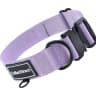 Video frame trigger