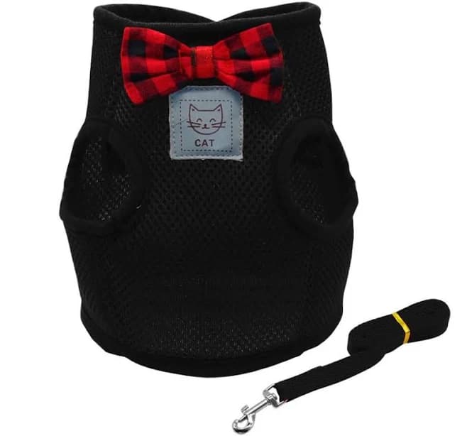Kitty Galore Cat Harness and Leash Set