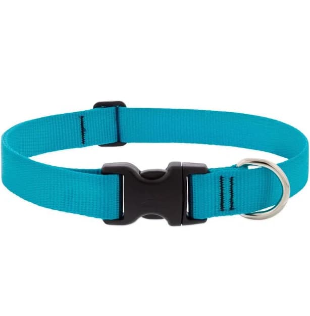 LupinePet Aqua Nylon Dog Adjustable Collar