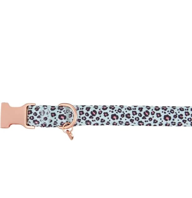 Top Paw Teal Cheetah Neoprene Adjustable Dog Collar