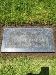 Headstone Refreshing!! for Sale in Santa Ana, CA - OfferUp