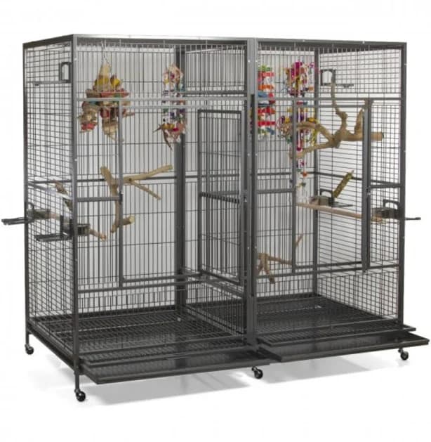 Chikatara 74'' Iron Flat Top Floor Bird Cage with Wheels Tucker Murphy Pet