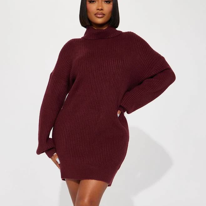 Fashion Nova Karina Long Sleeve Turtle Neck Sweater Mini Dress