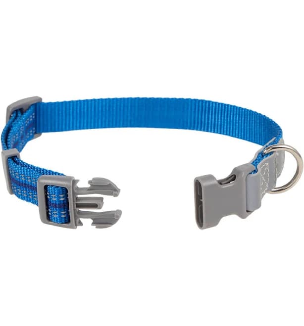 PetSmart Top Paw Reflective Dog Collar