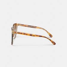 Beveled Signature Oversized Square Sunglasses | Eyewear | Coach | COACH®