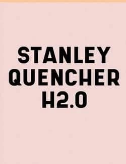 Stanley Quencher H2.O Flowstate Stainless Steel Vacuum Insulated Tumbler 30oz and 40oz Book