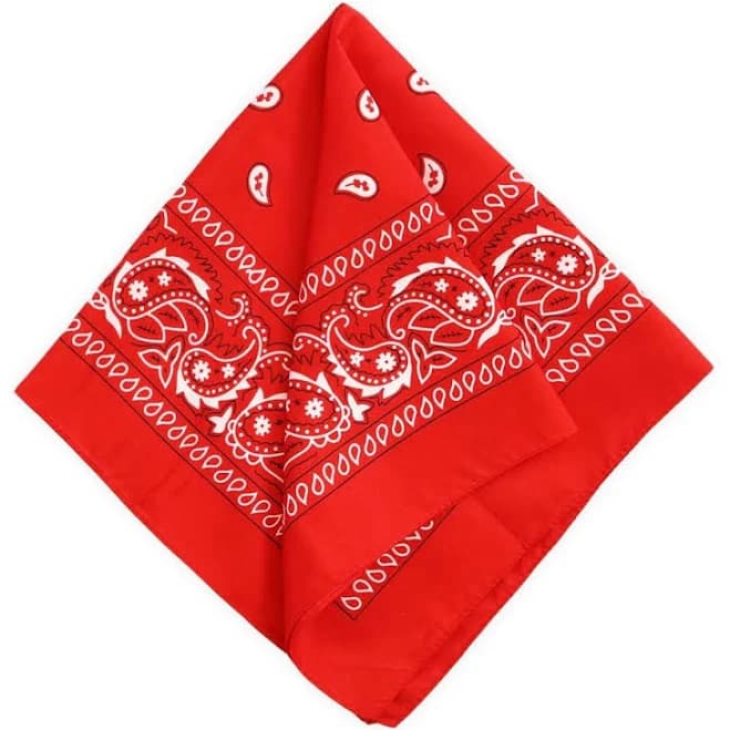 Paisley Bandana Pack