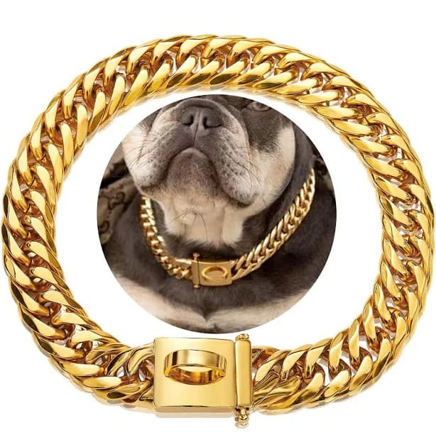 Gold Chain Dog Collar
