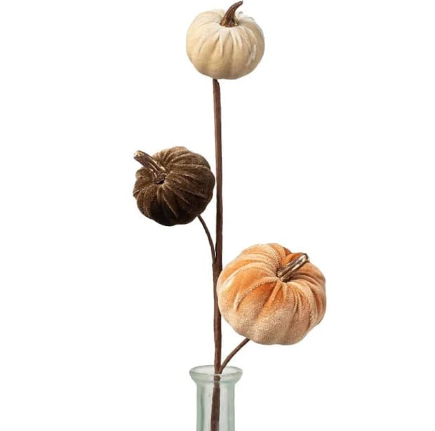 15" Velvet Mini Pumpkins with Gold Stem