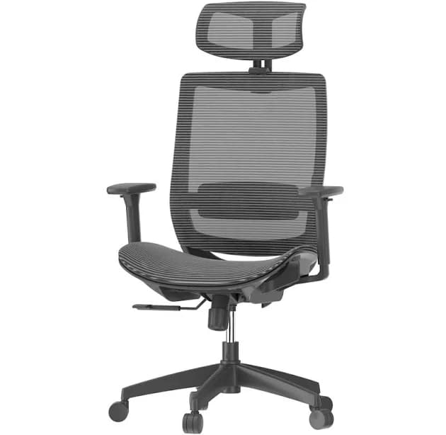 FlexiSpot C5 Affordable Ergonomic Office Chair Adjustable Armrest Lumbar Support for Long Time Sitting Comfort