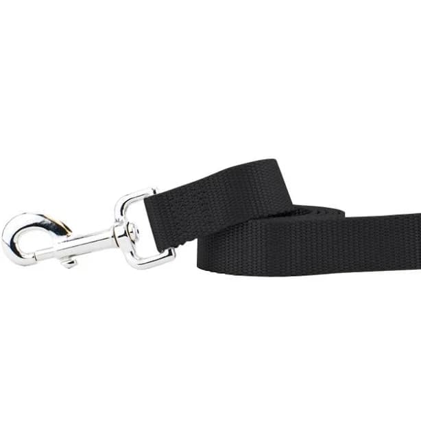 Nylon Dog Leash 1 inch