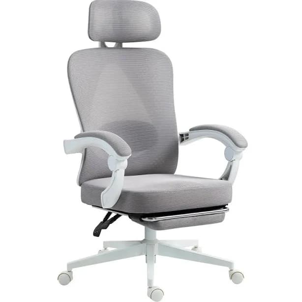 Dowinx Ergonomic Mesh Office Chair