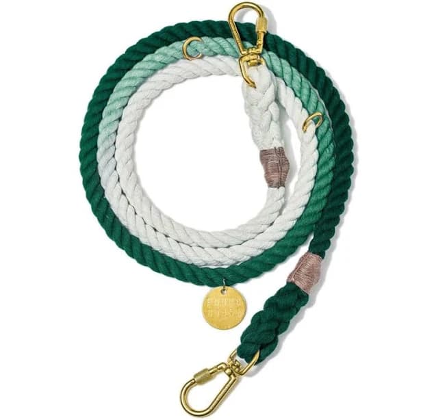 Found My Animal Adjustable Ombre Rope Dog Leash