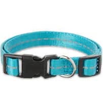 Vibrant Life Solid Nylon Dog Collar