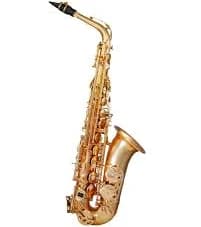 Trevor James Evo Alto Saxophone