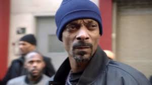 diss law and order svu