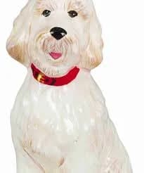 Goldendoodle